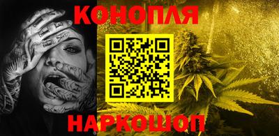 дмт Будённовск
