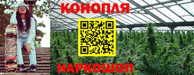 дмт Будённовск