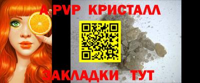 стаф Славгород